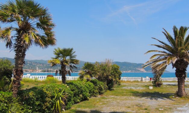 Da ex campeggio a oasi verde e anfiteatro sul mare: i Dianesi sognano la rinascita dell’ex Molo Cavour