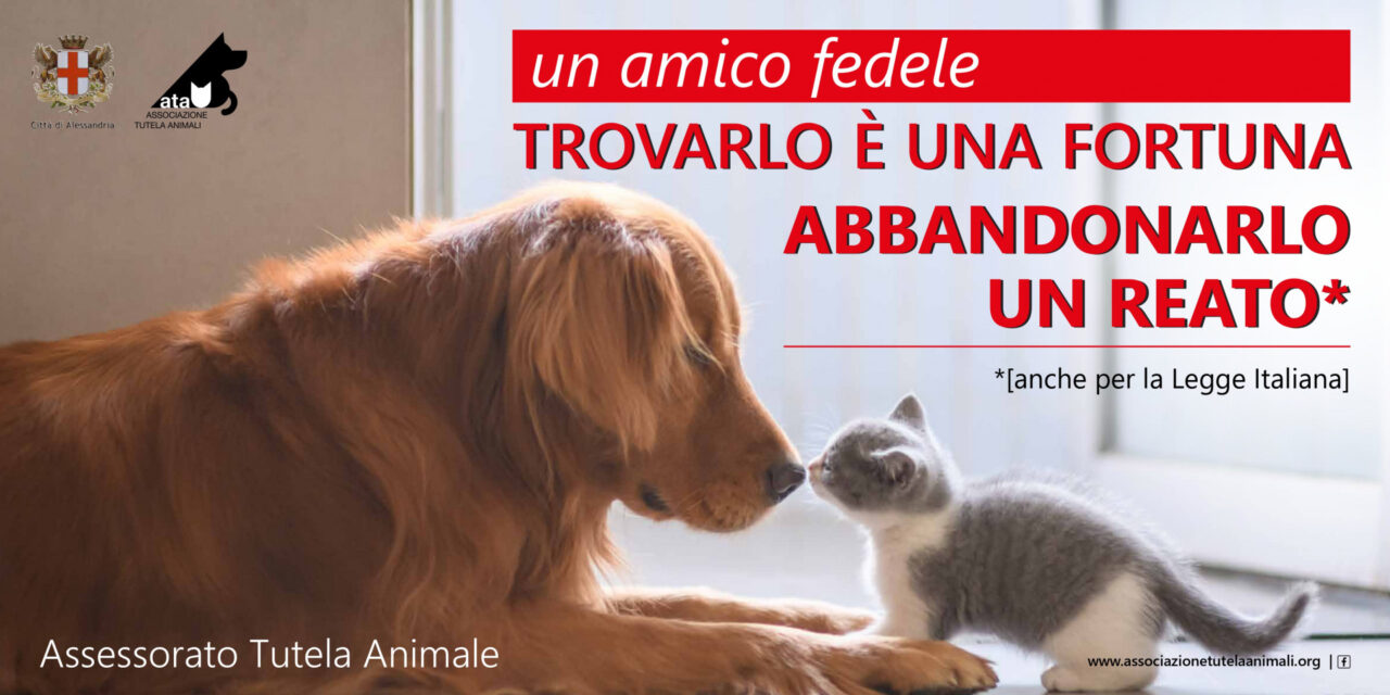 Alessandria dice no all’abbandono: parte la campagna estiva a tutela degli animali