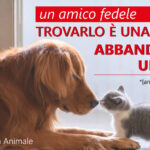 Alessandria dice no all’abbandono: parte la campagna estiva a tutela degli animali