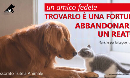 Alessandria dice no all’abbandono: parte la campagna estiva a tutela degli animali