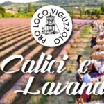 “Calici & Lavanda” a Viguzzolo: sabato 13 giugno cena, vino e musica tra i filari