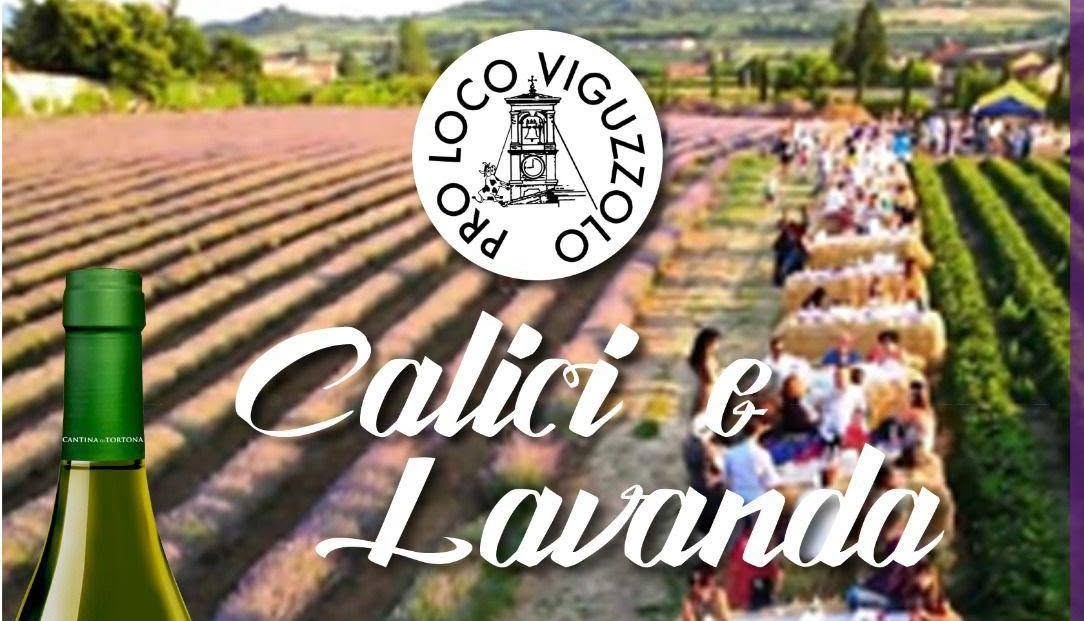 “Calici & Lavanda” a Viguzzolo: sabato 13 giugno cena, vino e musica tra i filari