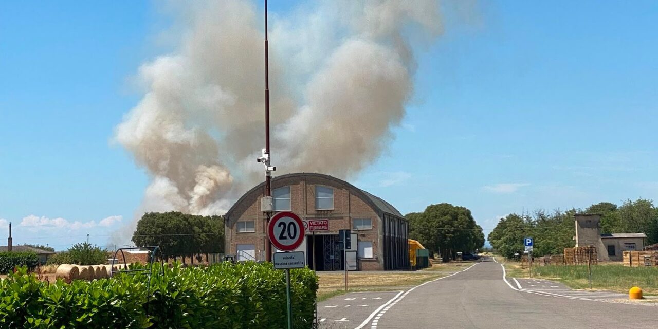 Incendio di sterpaglie a Rivalta Scrivia: fiamme vicino all’ex polveriera, vigili del fuoco sul posto
