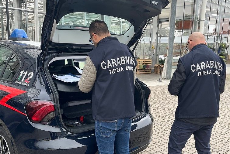 Lotta al caporalato e allo sfruttamento: i Carabinieri di Alessandria in campo con controlli mirati