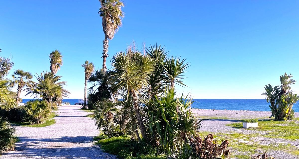 Diano Marina avrà un bellissimo parco urbano a ridosso del mare e i cittadini possono avanzare proposte 