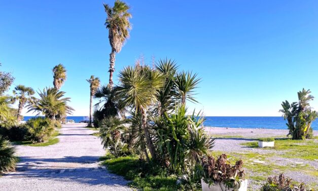Diano Marina avrà un bellissimo parco urbano a ridosso del mare e i cittadini possono avanzare proposte 