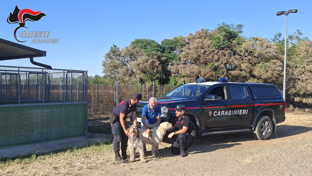 Incendio in un canile a Sezzadio: i Carabinieri sfidano le fiamme e salvano 20 cani, fra cui questi