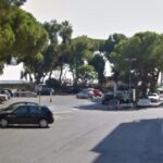 Diano Marina, pini sotto esame in Piazza Virgilio zona del mercato: test di stabilità per la sicurezza