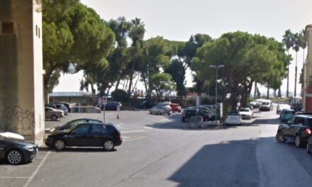 Diano Marina, pini sotto esame in Piazza Virgilio zona del mercato: test di stabilità per la sicurezza