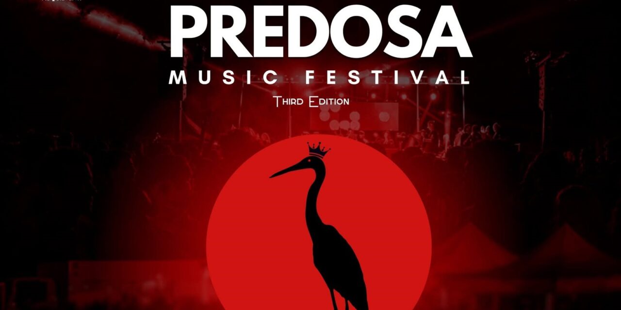 Il Predosa Music Festival torna per la terza edizione: ingresso libero e dj set al campo sportivo