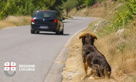 “Infame”: Regione Liguria lancia una dura campagna social contro l’abbandono degli animali
