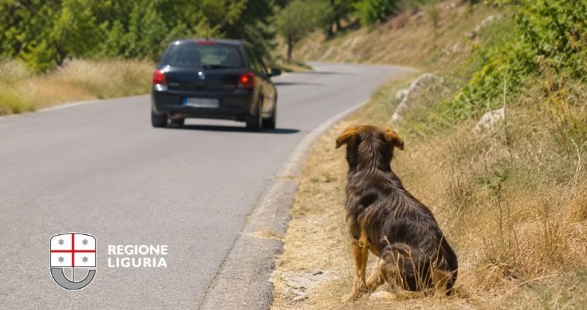 “Infame”: Regione Liguria lancia una dura campagna social contro l’abbandono degli animali