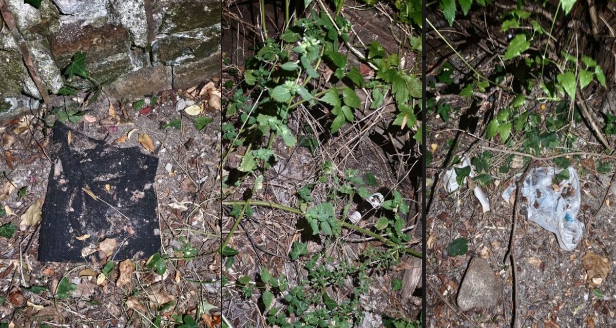 Degrado al bosco del Lavello di Tortona: dopo le segnalazioni scatta il tempestivo intervento del Comune