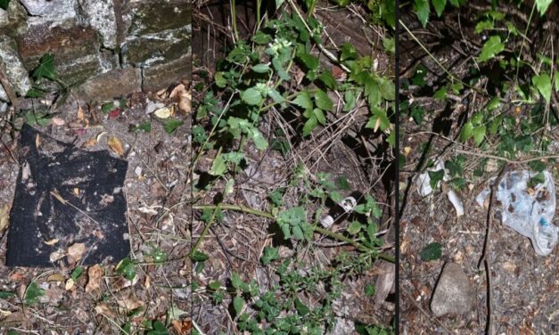 Degrado al bosco del Lavello di Tortona: dopo le segnalazioni scatta il tempestivo intervento del Comune