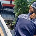 A lieto fine le ricerche di un cane a Diano Marina: salvato dopo 48 ore in un condotto e riconsegnato alla famiglia