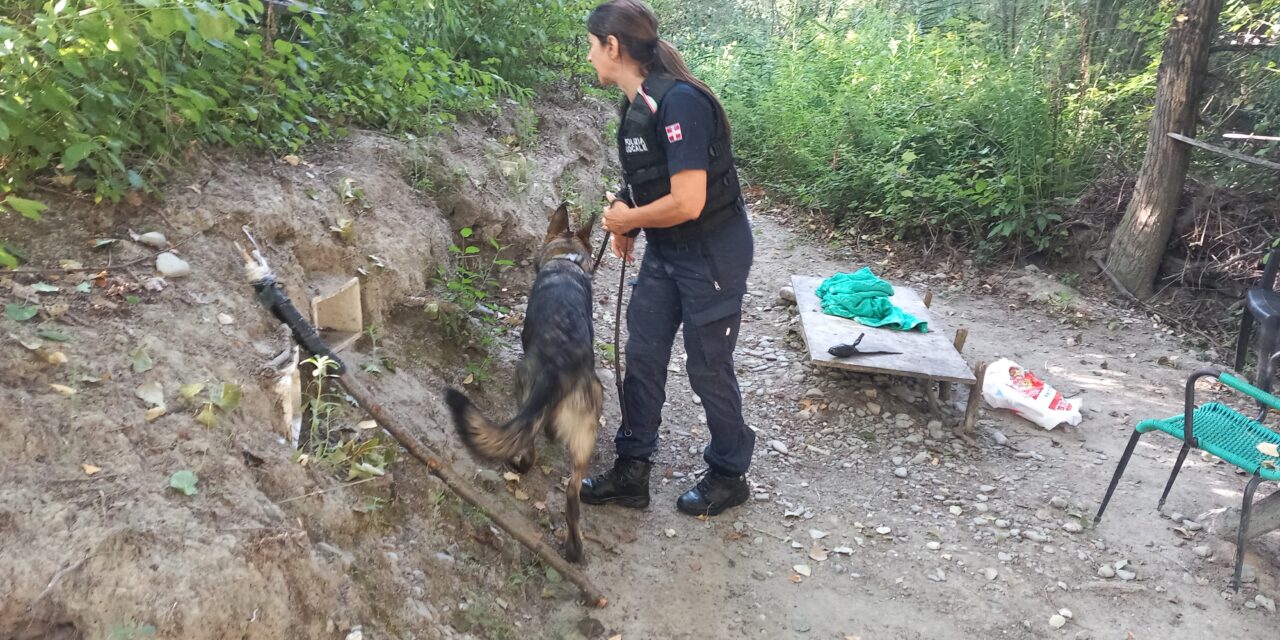 Tortona, armi bianche e accampamenti nelle rive dello Scrivia: maxi operazione per distruggere la base degli spacciatori