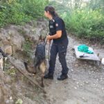 Tortona, armi bianche e accampamenti nelle rive dello Scrivia: maxi operazione per distruggere la base degli spacciatori