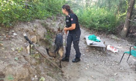 Tortona, armi bianche e accampamenti nelle rive dello Scrivia: maxi operazione per distruggere la base degli spacciatori