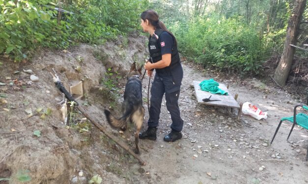 Tortona, armi bianche e accampamenti nelle rive dello Scrivia: maxi operazione per distruggere la base degli spacciatori