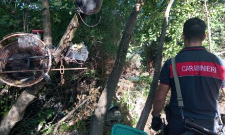 Carbonara Scrivia, maxi rastrellamento nei boschi: bonificata dal degrado l’area del torrente