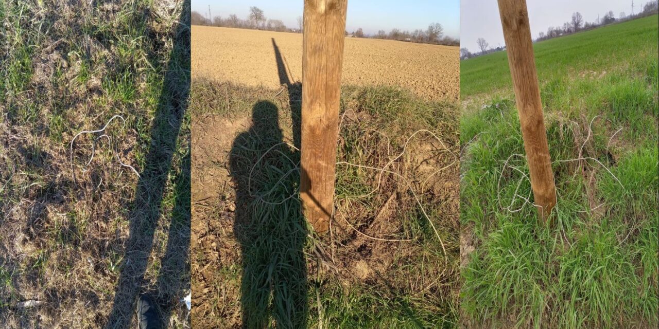 Fili di scarto abbandonati dopo i lavori: la segnalazione di un lettore da Felizzano