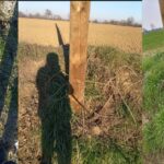Fili di scarto abbandonati dopo i lavori: la segnalazione di un lettore da Felizzano