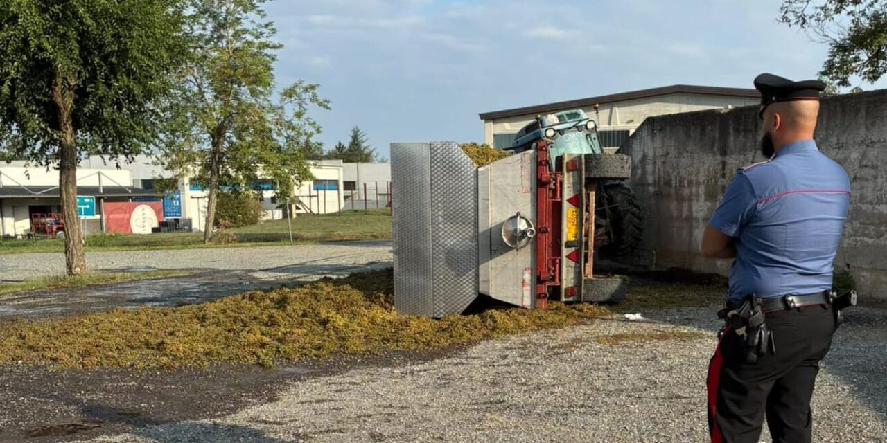 Infortunio agricolo 35enne cade da questo trattore durante il trasporto dell’uva a Capriata d’Orba
