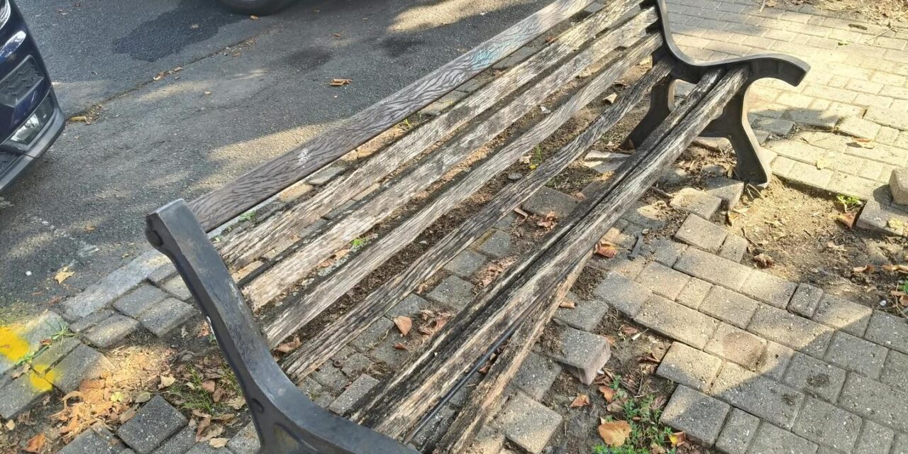 Degrado in piazza Perosi ad Alessandria: panchine rotte e pavimentazione sconnessa, l’UDC incalza il Comune