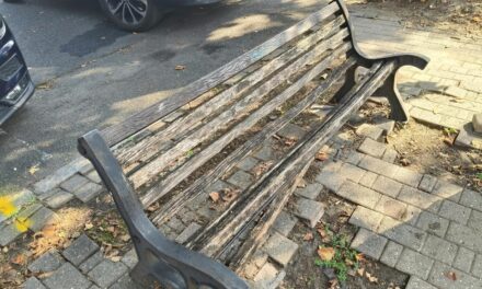 Degrado in piazza Perosi ad Alessandria: panchine rotte e pavimentazione sconnessa, l’UDC incalza il Comune