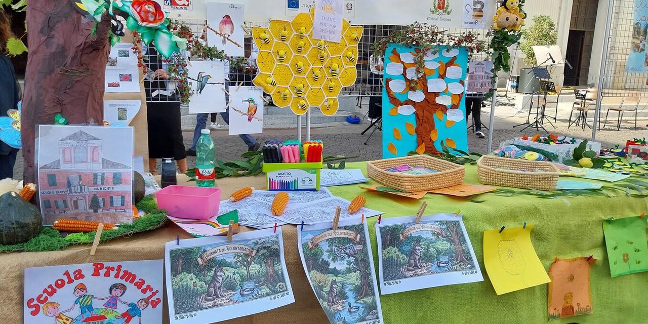 Giovani protagonisti e solidarietà a Tortona: il successo del CCR e dell’IC Tortona B alla Giornata del Volontariato