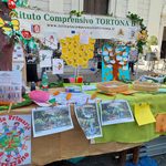 Giovani protagonisti e solidarietà a Tortona: il successo del CCR e dell’IC Tortona B alla Giornata del Volontariato